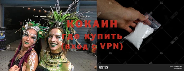 сатива Богородск