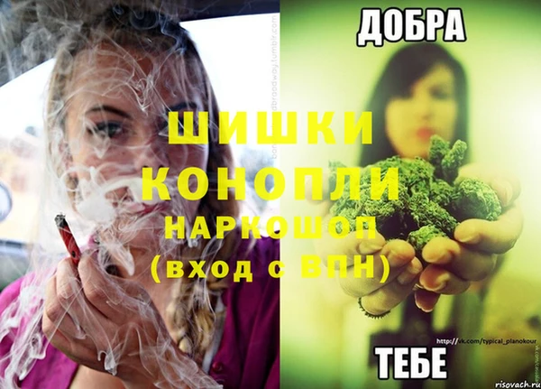 шишки Богданович