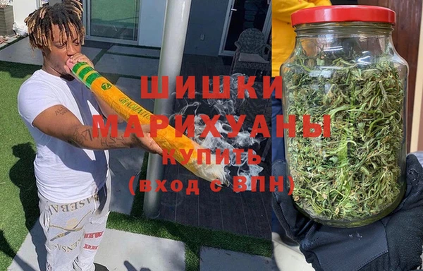 сатива Богородск